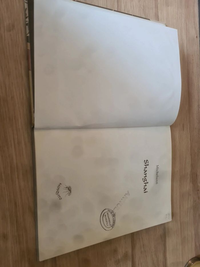 Micheluzzi Shanghai - photo numéro 5