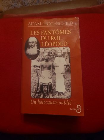 Les fantômes du roi Leopold 2. Un holocauste oublié