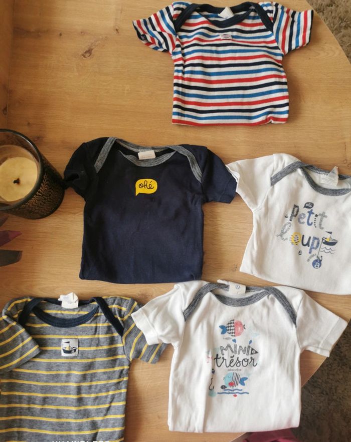 Lot 5 bodies absorba MC 9 mois parfait état