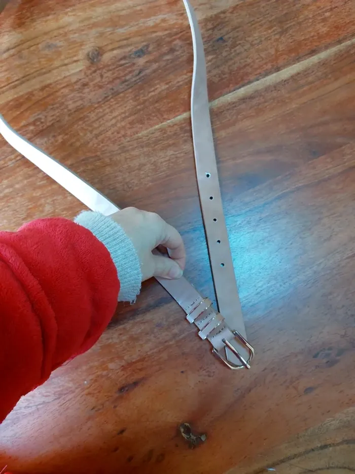 Ceinture - photo numéro 4