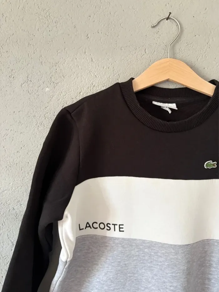 Sweat-shirt Lacoste 10ans 🚗 - photo numéro 2