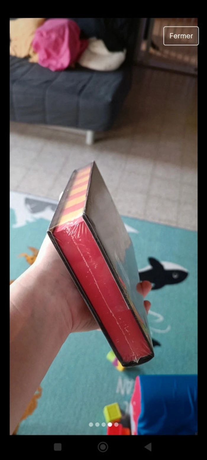 Harry Potter et l' école des sorciers livre gryffondor - photo numéro 4