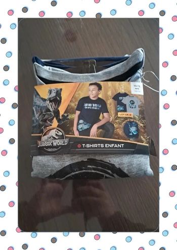 Lot de 2 T-shirts Jurassic World – Taille 10/12 ans – Neufs