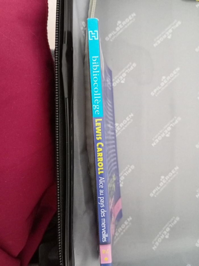 Livre Alice au pays des merveilles - photo numéro 3