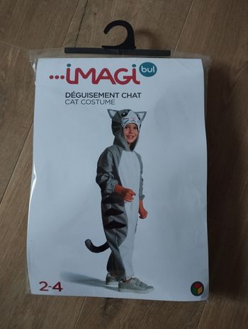 Déguisement chat
