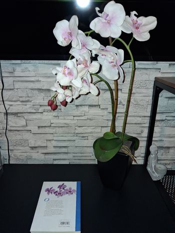 Orchidée artificielle avec livre