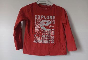Maillot in extenso dinosaure 5ans