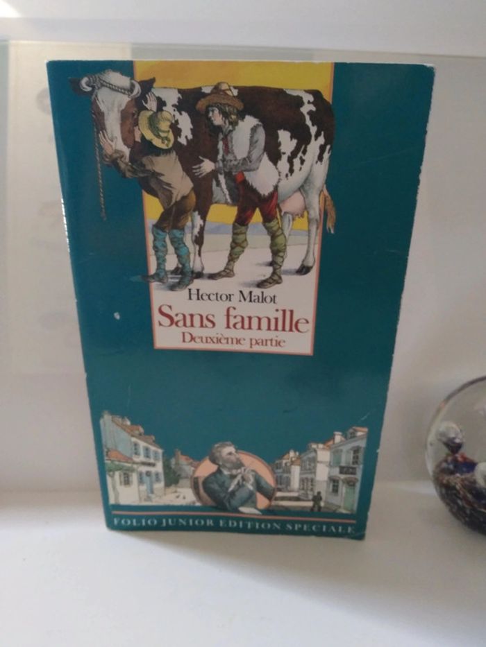 Sans famille 2e partie