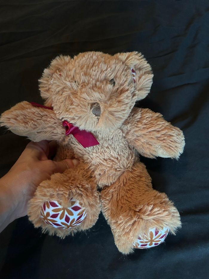 Petit ours doux - photo numéro 2