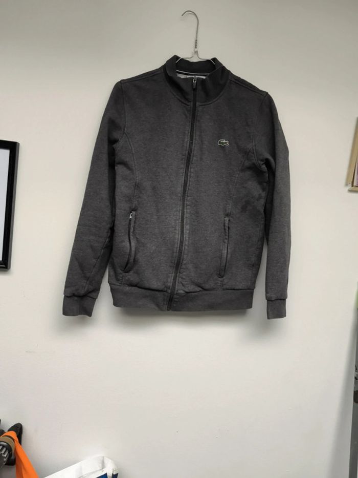 Veste Lacoste