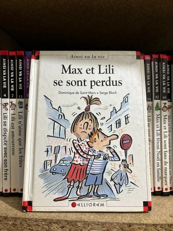 Livre Max et Lily se sont perdus