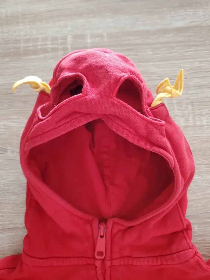 Veste à capuche Flash 3-4 ans - photo numéro 5