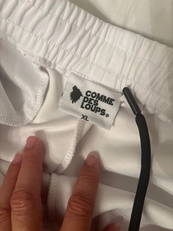 Ensemble comme des loups - photo numéro 8