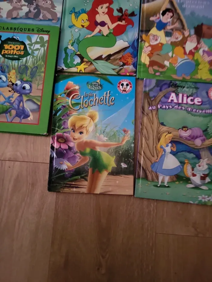 Lot livres disney - photo numéro 6