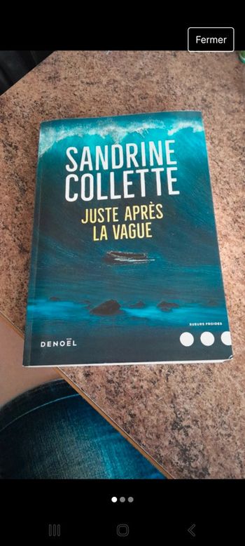 thriller haletant Sandrine Colette vraiment bien