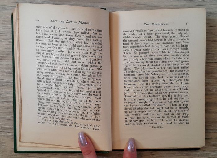 love and life in Norway by the Hon Bethell, and Augusta Plesner - photo numéro 10