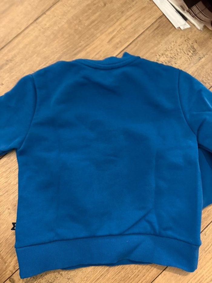 Sweat dinosaure 4 ans - photo numéro 4