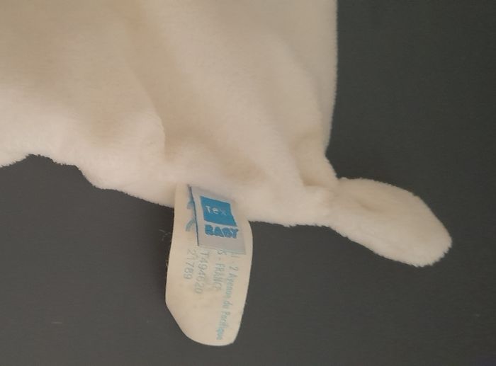 Chien Tex baby - photo numéro 3