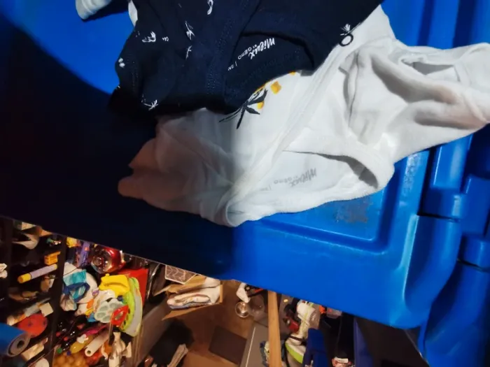 Lot bodies - photo numéro 2