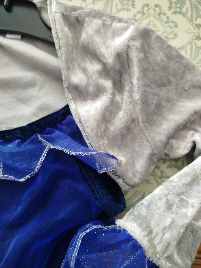 Déguisement la Fée Clochette - photo numéro 3