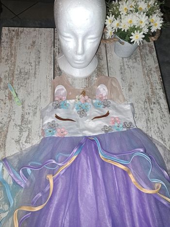 Robe princesse licorne arc en ciel