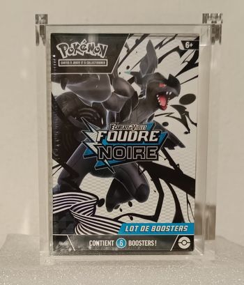 Protections acrylique pour bundle pokémon
