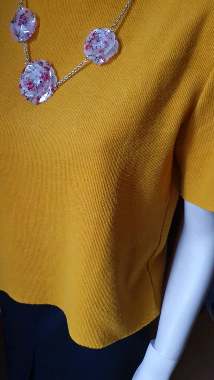 Pull court - photo numéro 9