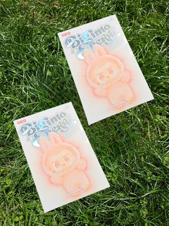 Lot 2 Box Labubu – Big Into Energy PopMart