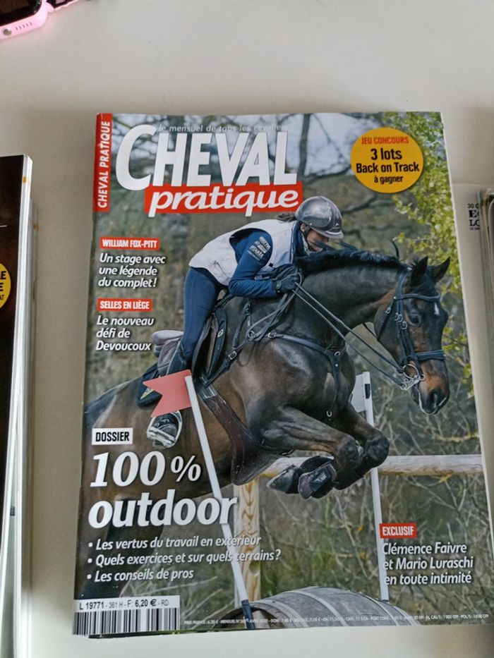 Cheval pratique - photo numéro 6