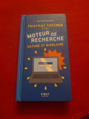 Journal intime d'un moteur de recherche saturé et bipolaire