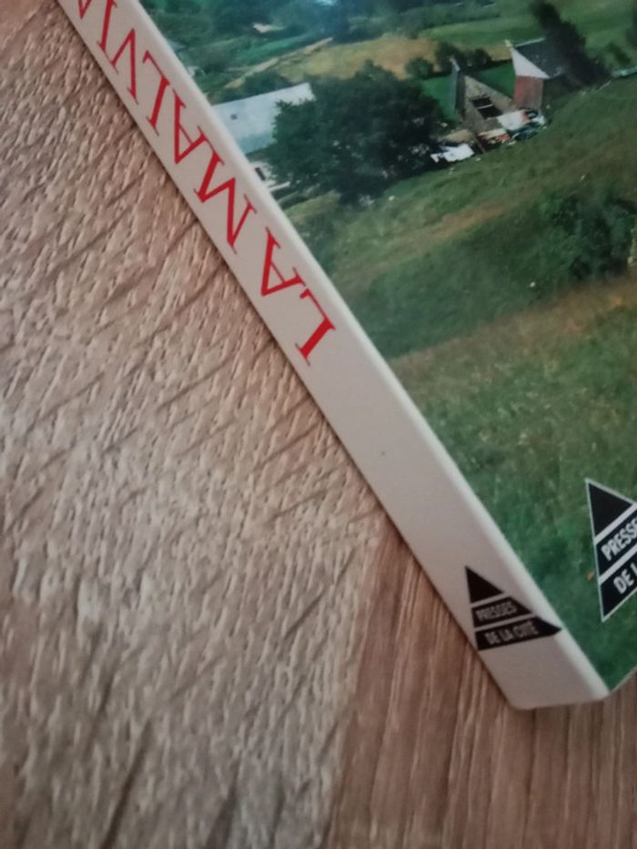 Denise Humbert 🪅 La malaviale - photo numéro 4