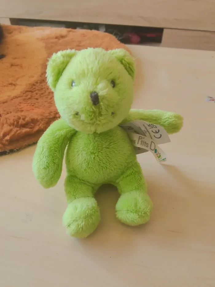 Petit ours vert