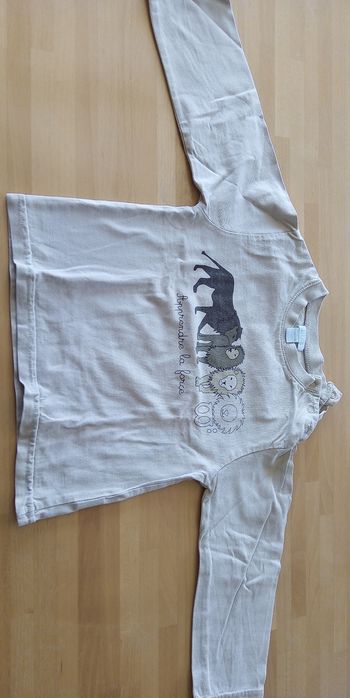 Tee shirt garçon 2 ans