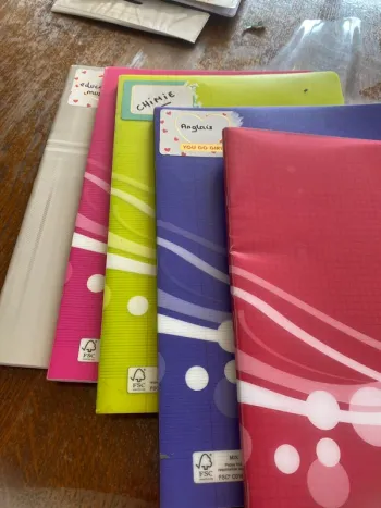 Lots 5 cahiers