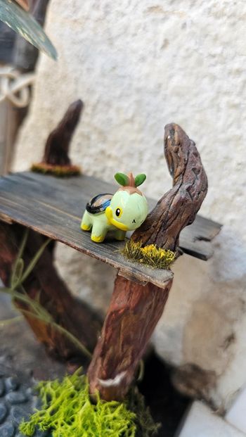 Super figurine Pokemon Nintendo tortipouss