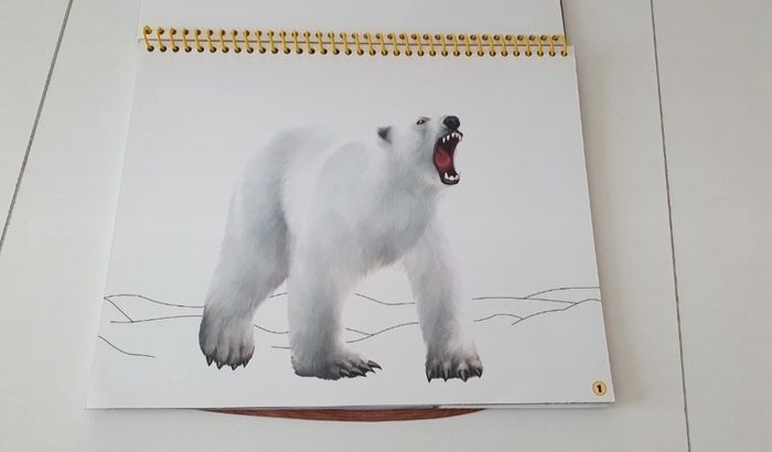 Cahier neuf de coloriage et de stickers - photo numéro 5