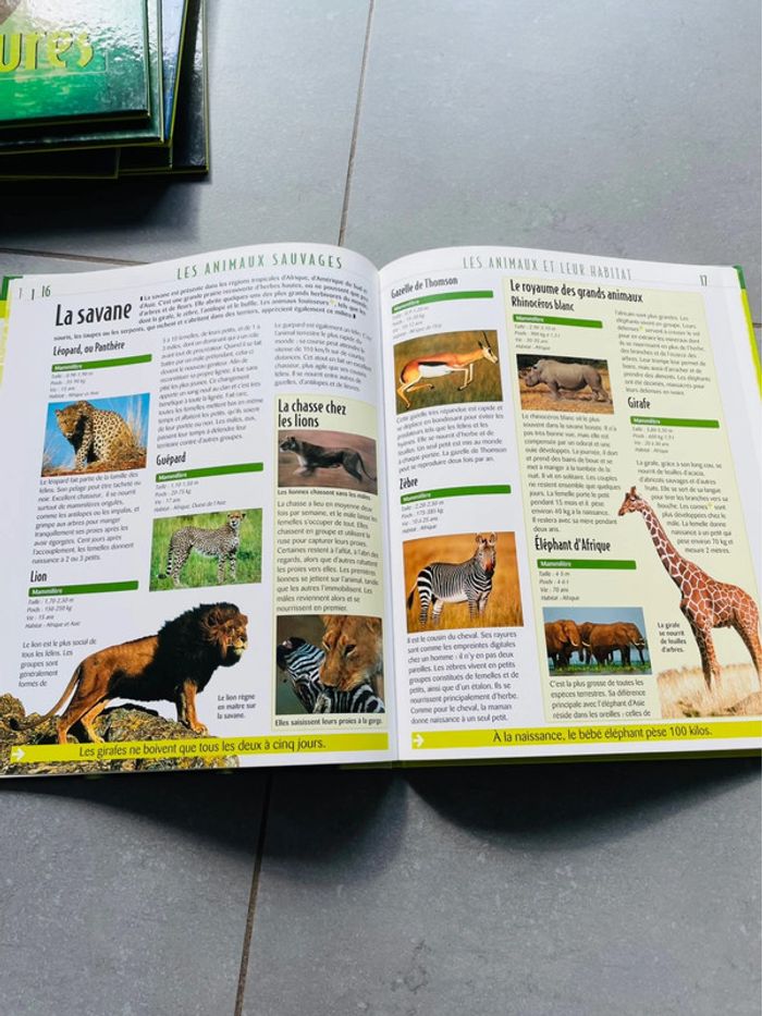 Lot livres collection l’atlas des juniors - photo numéro 9