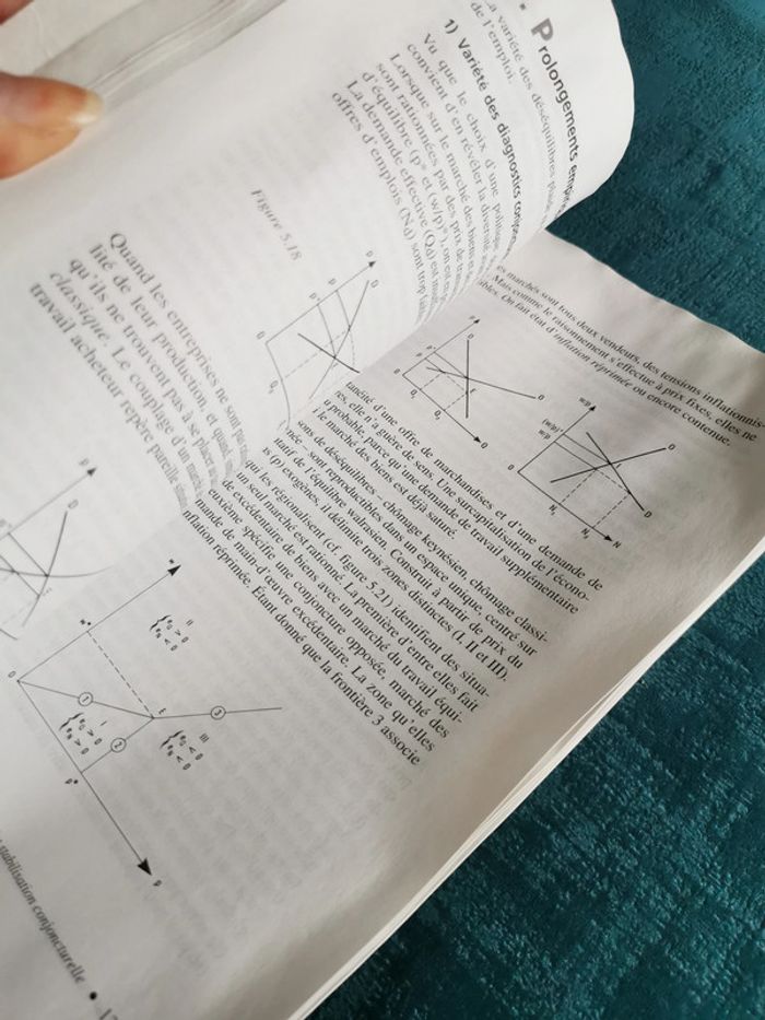 Lot de 2 manuels éd. Dunod Monnaie et financement de l'économie et la théorie macroéconomique - photo numéro 6
