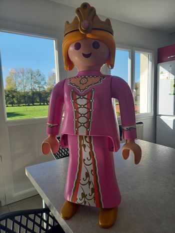 Playmobil princesse XXL