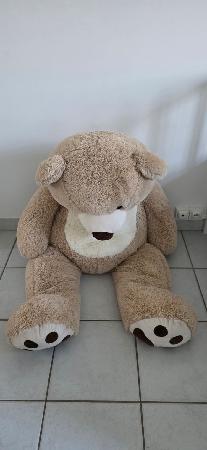 Ours en peluche - photo numéro 3