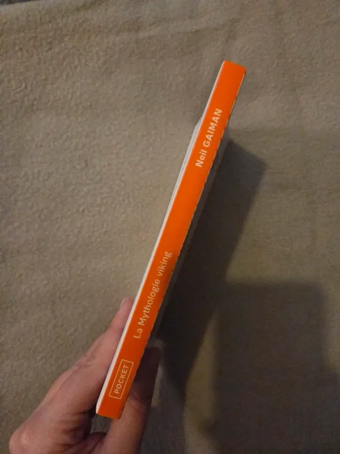 La Mythologie Viking – Neil Gaiman - photo numéro 4