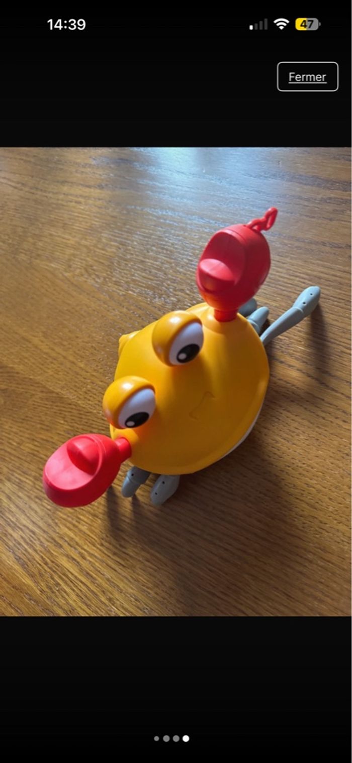 Crabe - photo numéro 4