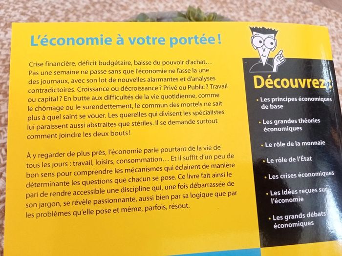 L'économie pour les Nuls - photo numéro 7