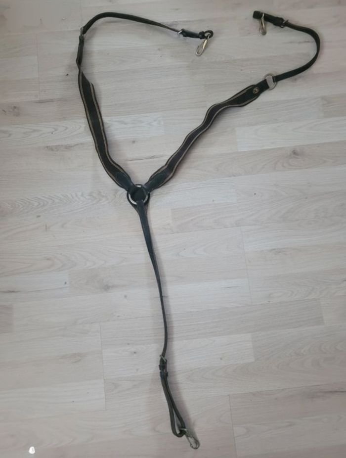 Collier de chasse équitation taille cheval