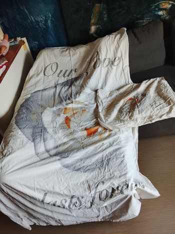 Taie oreiller+ housse de couette