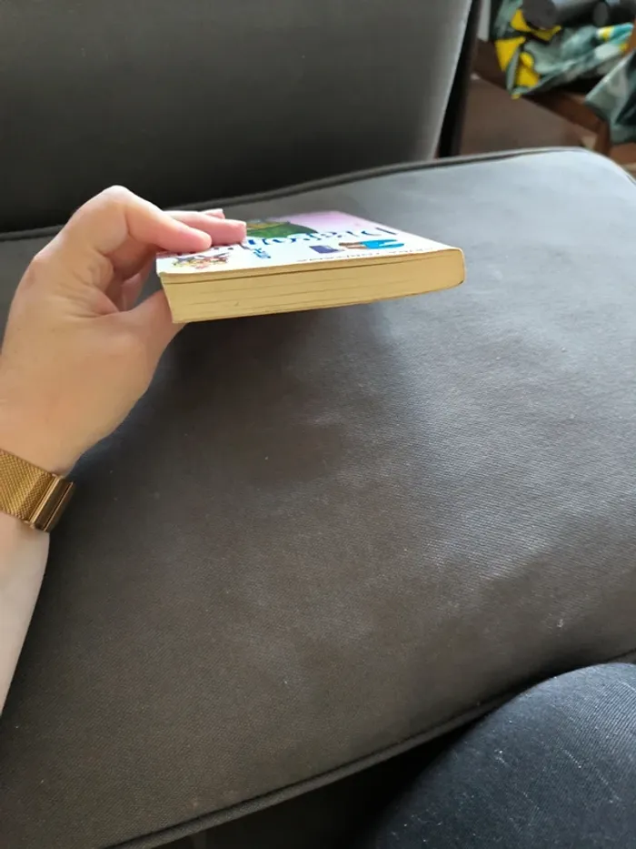 Manga dragon ball pastel tome 31 - photo numéro 6