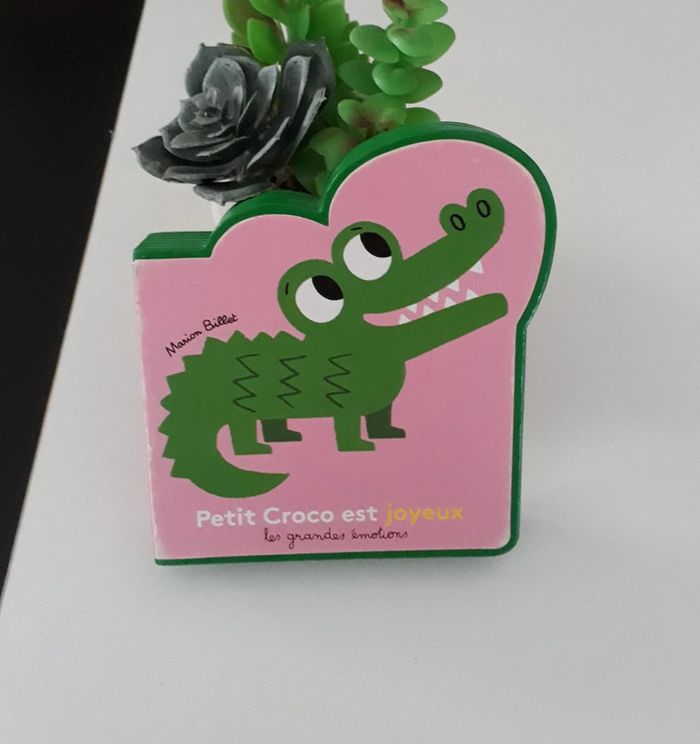 Petit Croco est joyeux🌿💝 - photo numéro 2