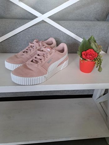 Puma daim rose
