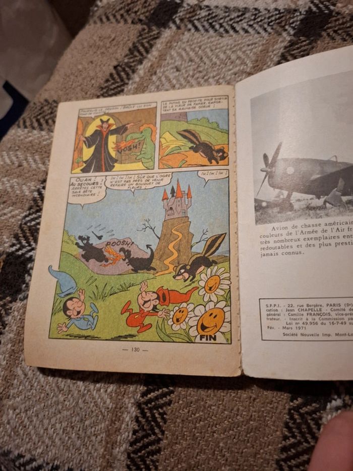 Dodu n°5 - photo numéro 5