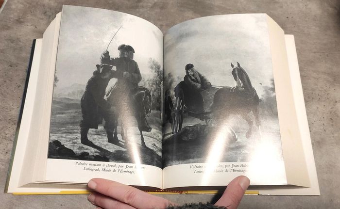 Voltaire - photo numéro 5